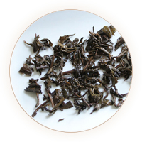 滴香寻源,寻绿茶,安茶叶底