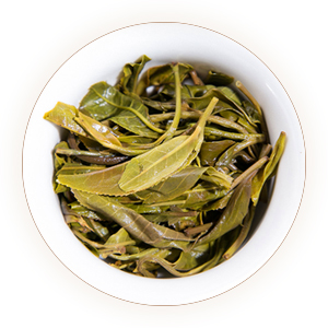 滴香寻源,寻绿茶,大雪山普洱茶叶底