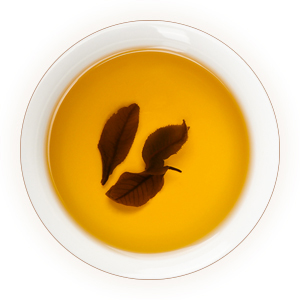 滴香寻源,寻绿茶,青钱柳茶汤色