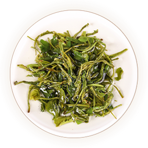 滴香寻源,寻绿茶,鸠坑毛尖叶底