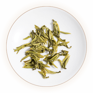 滴香寻源,寻绿茶,桂林毛尖叶底