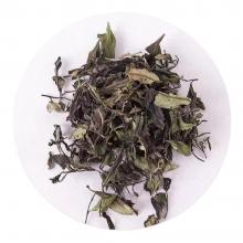 滴香寻源·寻茶·买茶·北京哪里买松溪小白茶