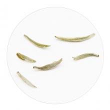 滴香寻源·寻茶·买茶·北京哪里买政和白毫银针（南路银针）