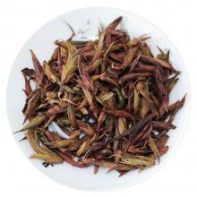 滴香寻源·寻茶·买茶·北京哪里买紫芽苞茶（普洱茶）