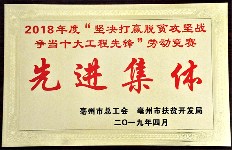 2018年度“坚决打赢脱贫攻坚战·争当十大工程先锋”劳动竞赛先进单位