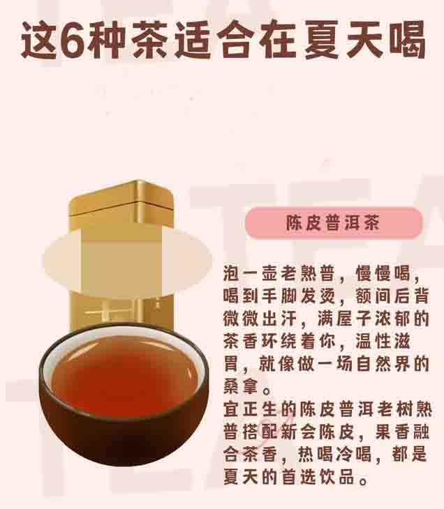 男人夏天适合喝什么茶