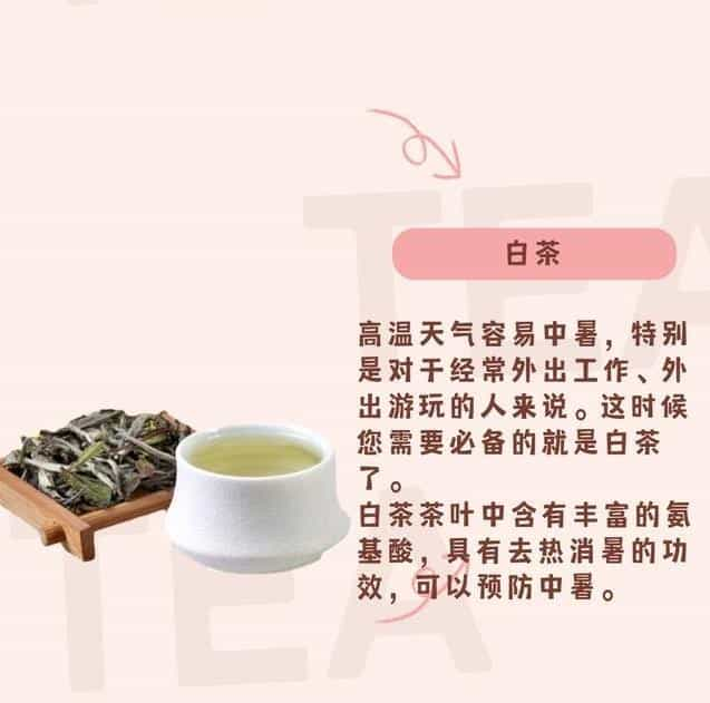 男人夏天适合喝什么茶