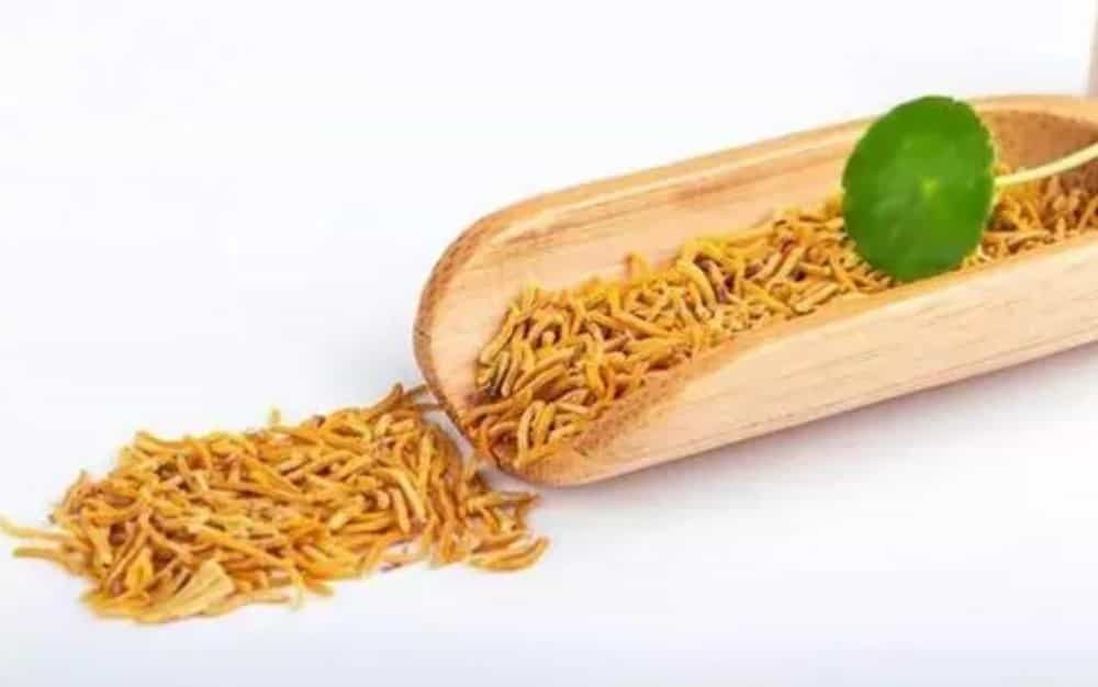 牡丹花蕊茶适合什么人