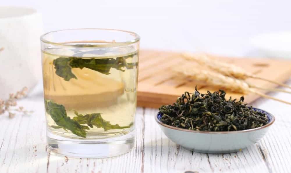女人喝蒲公英茶的好处和坏处