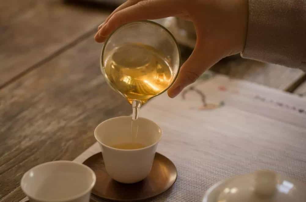 白茶适合冬天喝吗