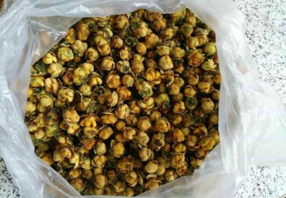 茶树的花叶可以泡茶喝吗