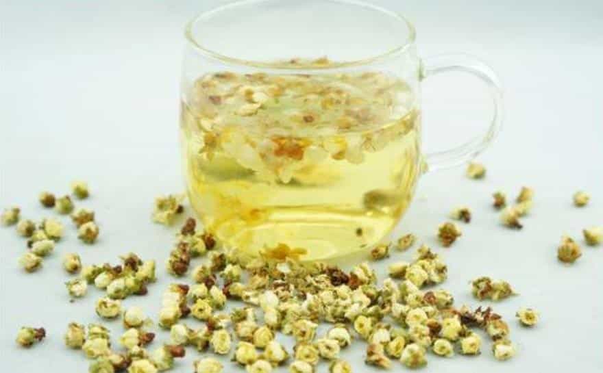 白梅花茶的功效与作用