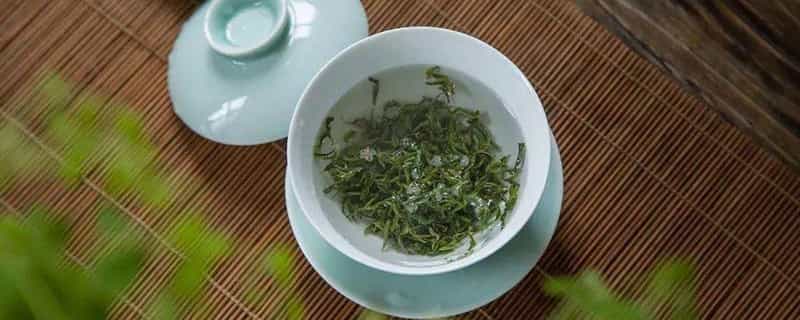 夏季喝茶喝什么茶