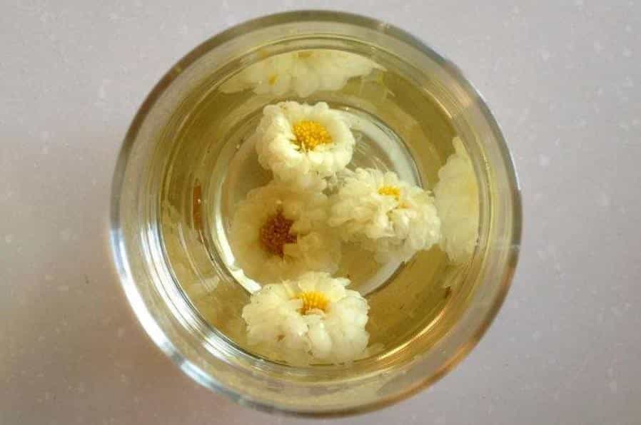 各种菊花茶功效的区别