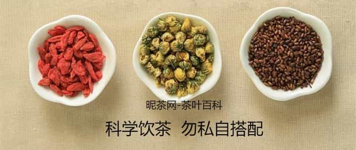 枸杞菊花决明子茶功效