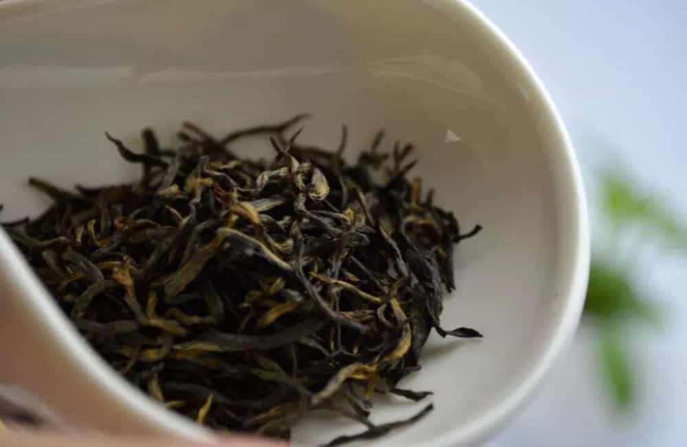 金骏眉黄芽多的好吗