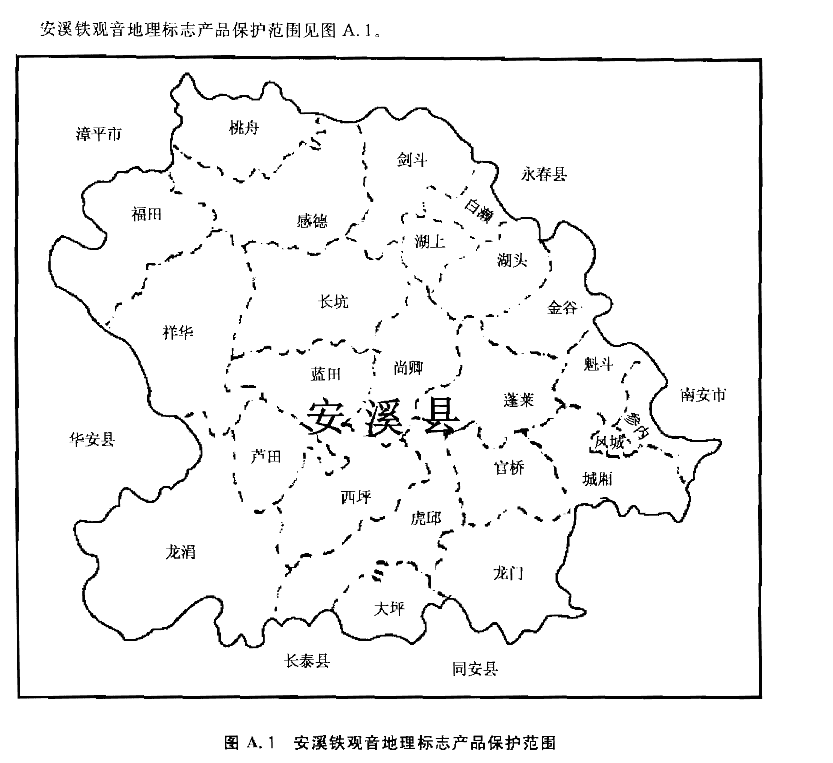 铁观音外形特征