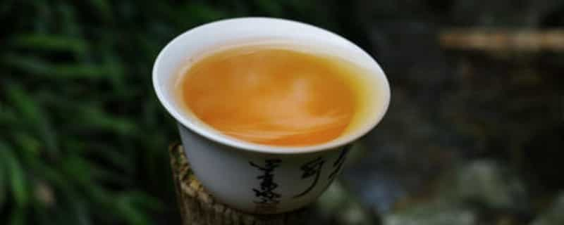 冬天和夏天分别适合喝什么茶