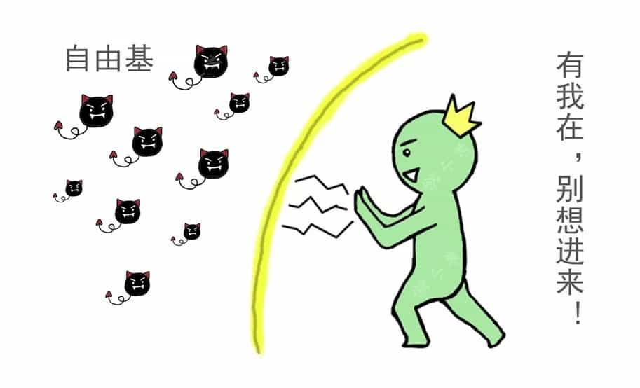 喝完茶后，茶叶在体内到底在干嘛，游走的茶水