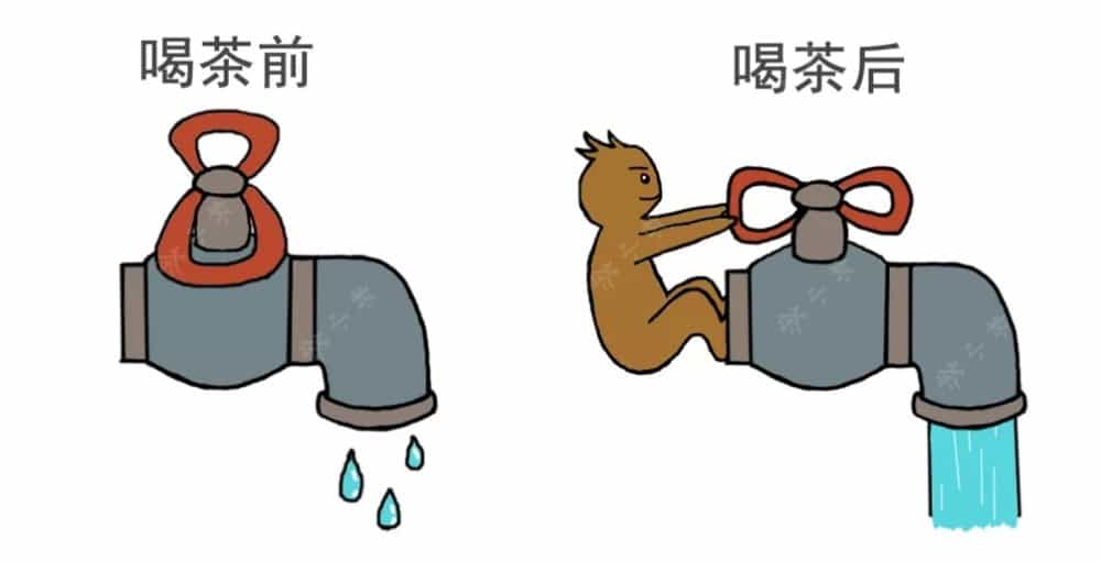 喝完茶后，茶叶在体内到底在干嘛，游走的茶水