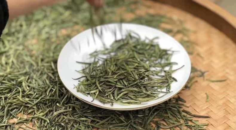 野茶属于红茶还是绿茶