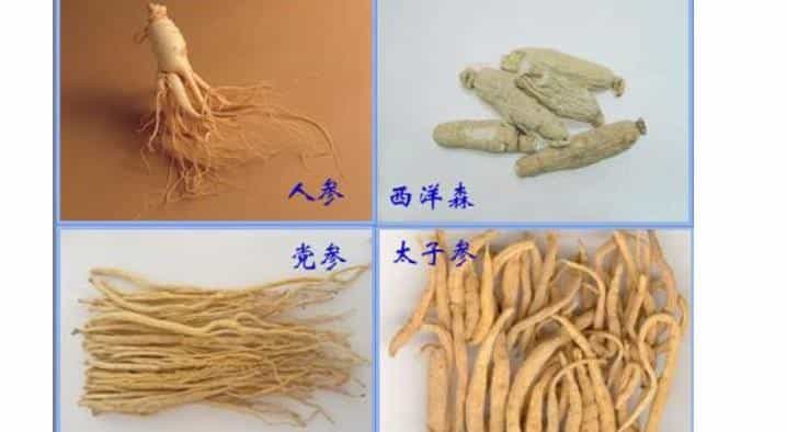 人参与党参的功效区别