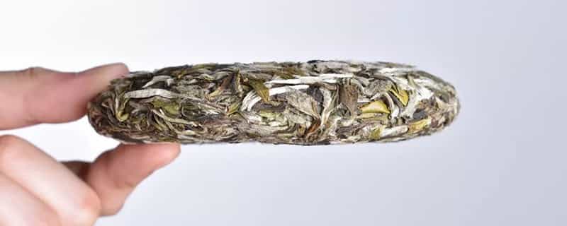 福鼎白茶属于红茶还是绿茶