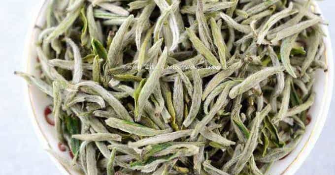 浙江茶除了西湖龙井，你还知道啥？