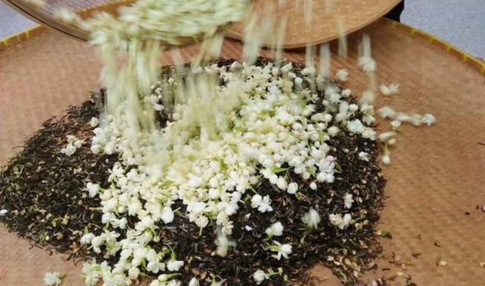 窨制茶叶是什么意思