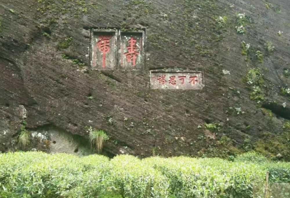 马岩牛岩的口感特点