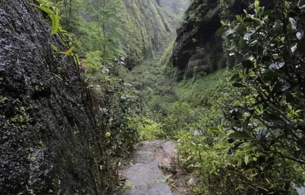 何为岩韵，岩韵又从何而来