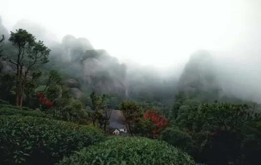 福建茶叶品种丰富的自然原因