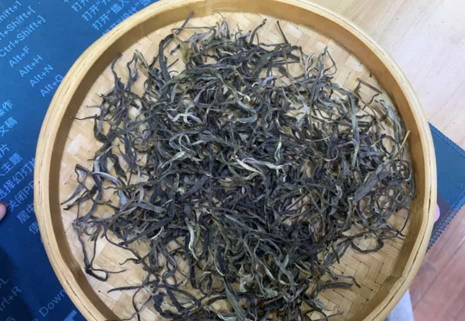 忙肺山古树茶有什么特点