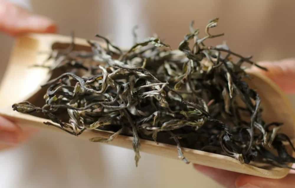 贺开古树茶的口感特点