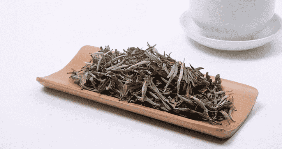 福安白茶与福鼎白茶哪个好