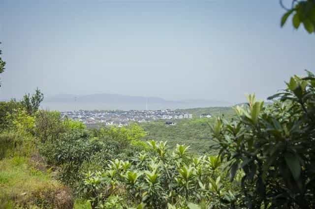 正宗碧螺春产地哪里最好