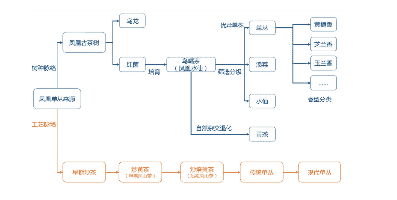 广东乌龙茶的种类及特点