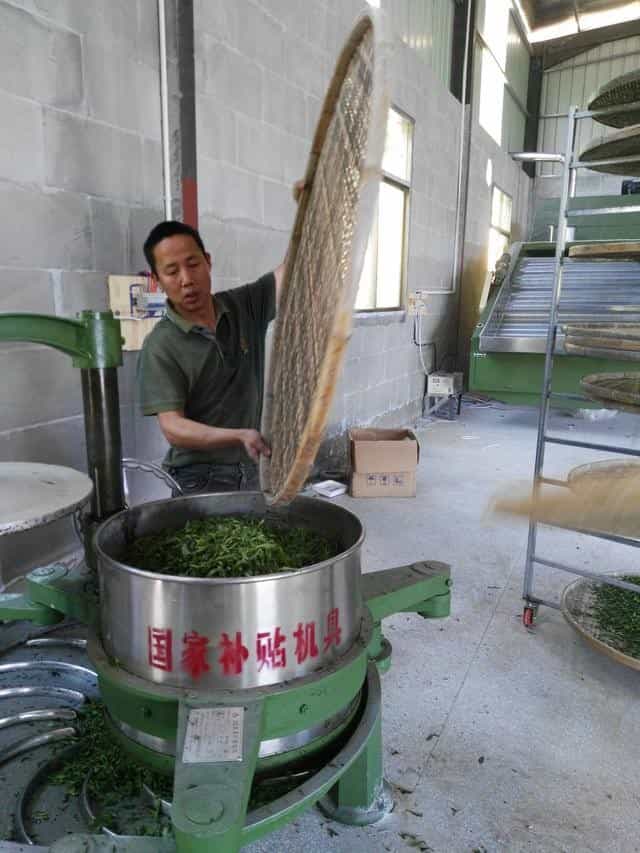正山小种红茶的制作工艺流程