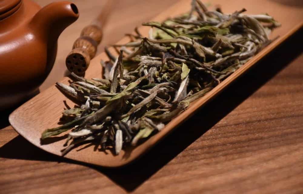 怎么判断茶叶是否过期