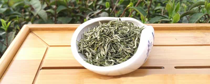 信阳毛尖的优点