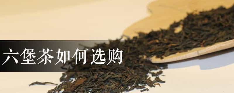 六堡茶如何选购