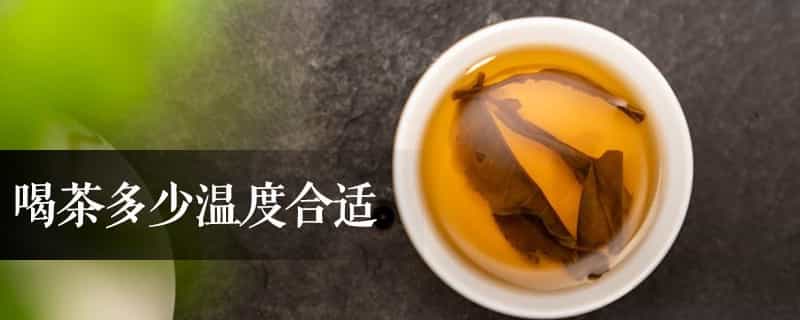 喝茶多少温度合适