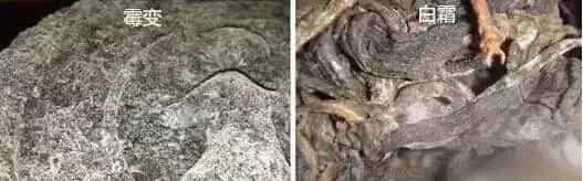 普洱茶白霜的发霉怎么区分