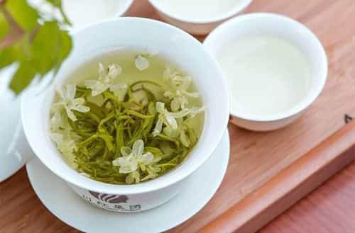 上班族喝什么茶比较好，上班族饮茶指南