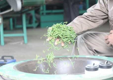黄山毛峰的制作工艺是怎样的？