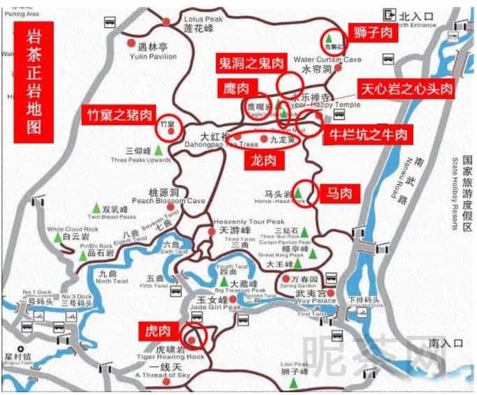 岩茶百科，武夷肉桂都有哪些品种