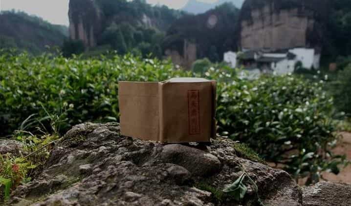 岩茶百科，武夷肉桂都有哪些品种
