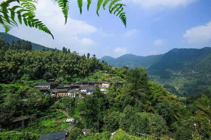易武茶区的普洱茶怎么样，有哪些特点