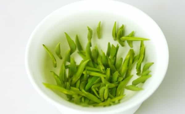 【精选】竹叶青与雀舌的区别