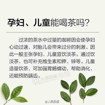 新手喝茶必备，茶知识大全